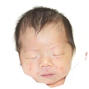 1757-1.jpg 1757-1.jpg